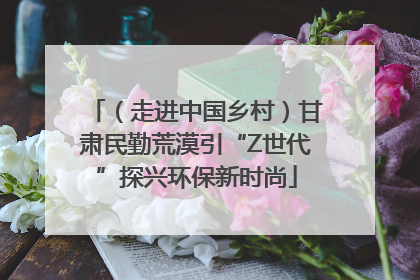 （走进中国乡村）甘肃民勤荒漠引“Z世代”探兴环保新时尚