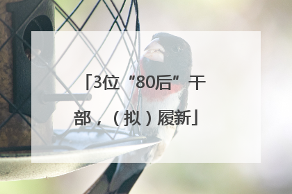 3位“80后”干部，（拟）履新