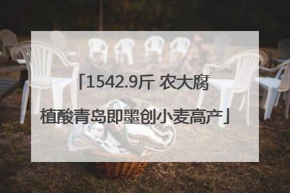 1542.9斤 农大腐植酸青岛即墨创小麦高产