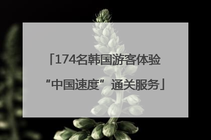 174名韩国游客体验“中国速度”通关服务