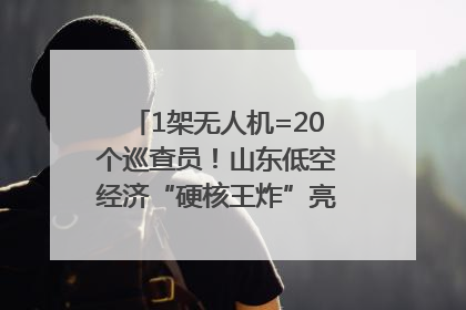 1架无人机=20个巡查员！山东低空经济“硬核王炸”亮相青岛，下一个万亿赛道藏在这里