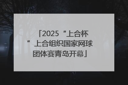 2025“上合杯”上合组织国家网球团体赛青岛开幕