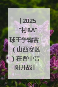 2025“村BA”球王争霸赛（山西赛区）在晋中昔阳开战