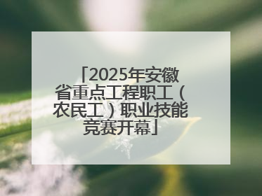 2025年安徽省重点工程职工（农民工）职业技能竞赛开幕