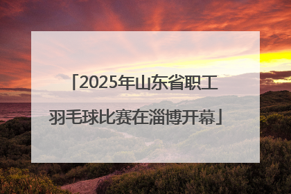 2025年山东省职工羽毛球比赛在淄博开幕