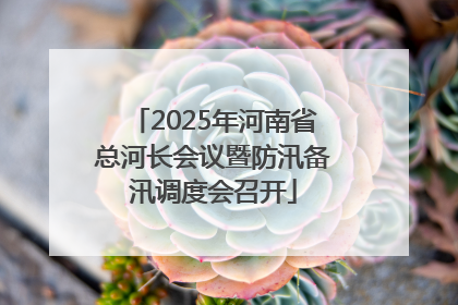 2025年河南省总河长会议暨防汛备汛调度会召开