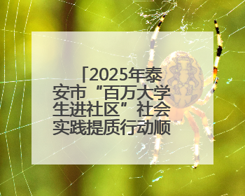 2025年泰安市“百万大学生进社区”社会实践提质行动顺利举办