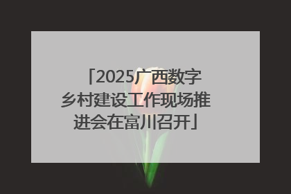 2025广西数字乡村建设工作现场推进会在富川召开
