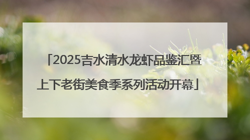 2025吉水清水龙虾品鉴汇暨上下老街美食季系列活动开幕