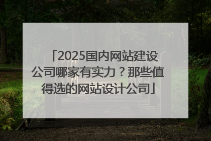 2025国内网站建设公司哪家有实力？那些值得选的网站设计公司