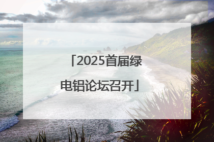 2025首届绿电铝论坛召开