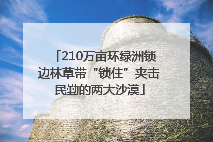 210万亩环绿洲锁边林草带“锁住”夹击民勤的两大沙漠