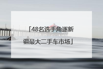 48名选手角逐新疆最大二手车市场