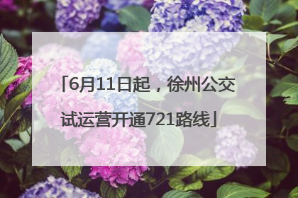 6月11日起，徐州公交试运营开通721路线