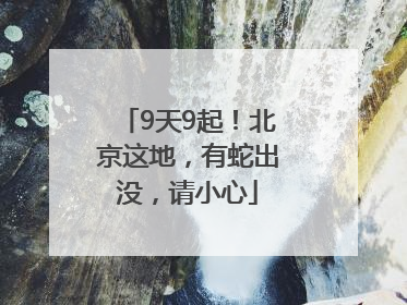 9天9起！北京这地，有蛇出没，请小心