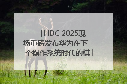 HDC 2025现场重磅发布华为在下一个操作系统时代的棋
