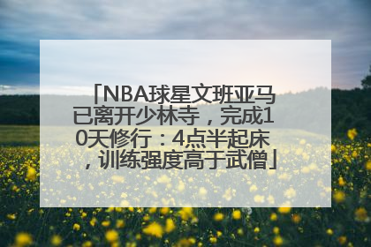 NBA球星文班亚马已离开少林寺，完成10天修行：4点半起床，训练强度高于武僧