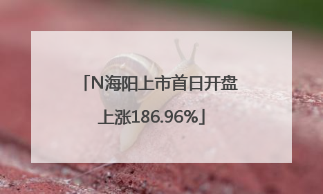 N海阳上市首日开盘上涨186.96%