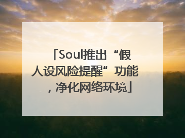 Soul推出“假人设风险提醒”功能，净化网络环境